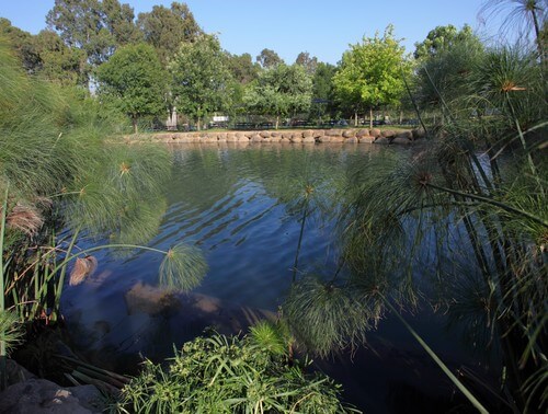 פארק דייג דפנה